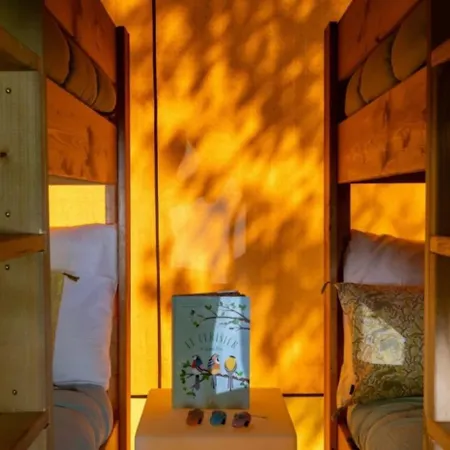 3 étoiles - Piscine - Ccaffdc Camping Saintes