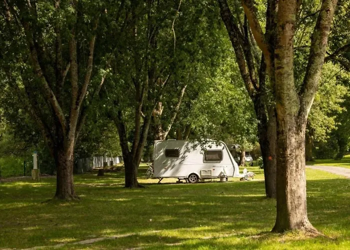 3 Etoiles - Piscine - Ccaffdc Kemping *