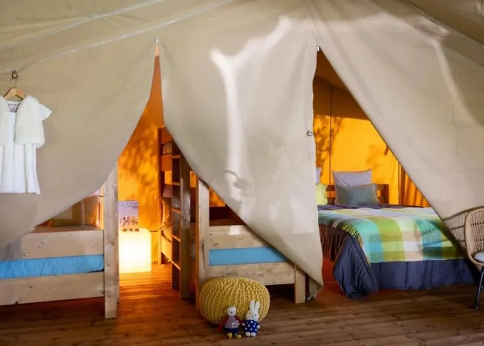 3 Etoiles - Piscine - Ccaffdc * Saintes