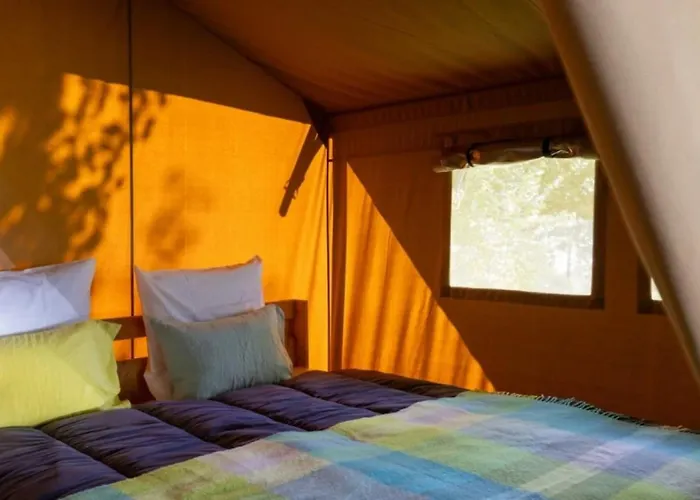 3 Etoiles - Piscine - Ccaffdc * Saintes