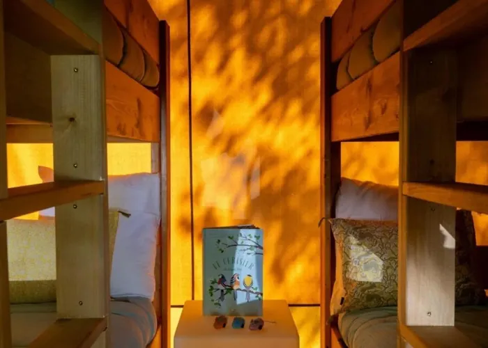 3 Etoiles - Piscine - Ccaffdc Kemping Saintes